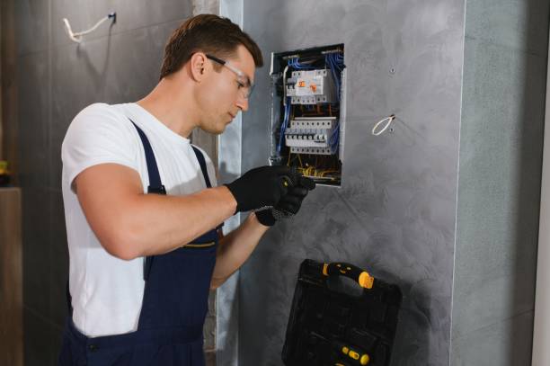 Best Generator Installation Services  in Neoga, IL