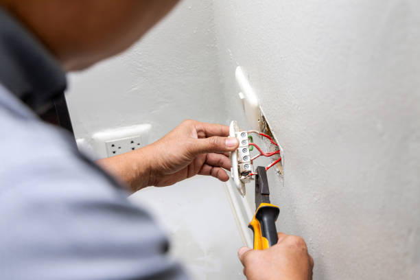 Best Electrical System Inspection  in Neoga, IL